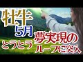 【おうし座2026年５月】🌈ついに夢を実現するサイクルがやってきているようです🌈あなたの心が伝えようとしていることを無視しないでください🌈準備は万端です🌟後は精神的強さ⭐︎必要なのは覚悟🌈