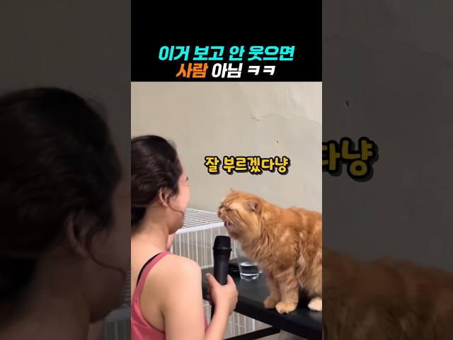 음치 집사가 노래를 불렀더니 ㅋㅋ
