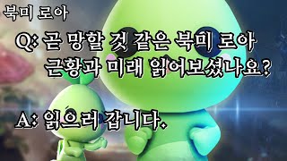 [북미 로스트아크] 