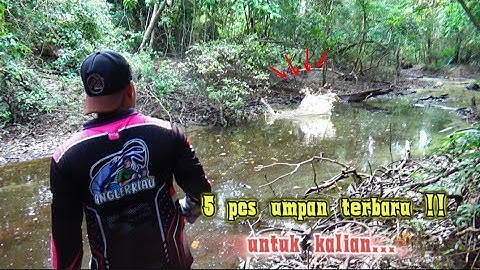 HAMPIR TERTIPU ‼️ TERNYATA RAWA SEPERTI BANYAK IKAN MONSTER DI DALAMNYA