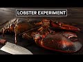 GRAPHIC: 4 Ways to COOK LOBSTERS, Sous Vide vs Boiled!