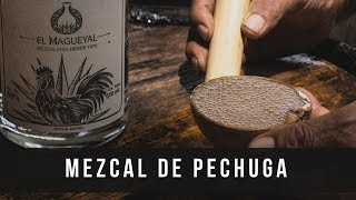 El Mezcal más místico, El mezcal de Pechuga; ¿Cómo se Hace? ¿A qué sabe? 🐓😱