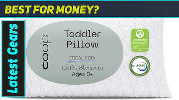 DSV Window Cleaner: The Ultimate Cleaning Companion