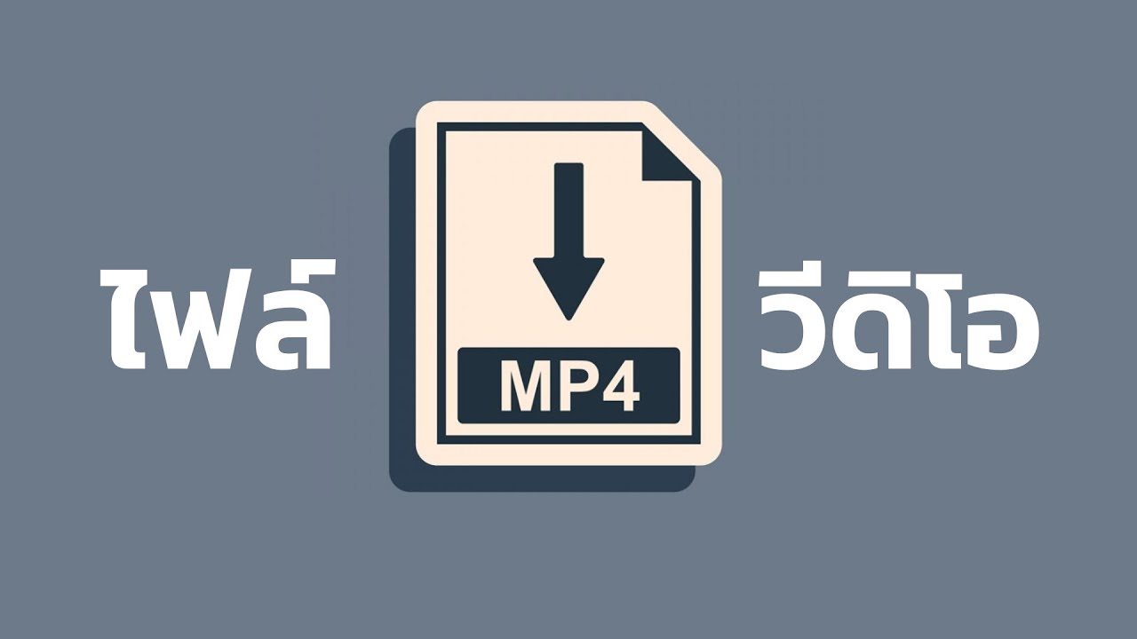 นามสกุลเดียวกัน ชัดไม่เท่ากัน (CODEC)