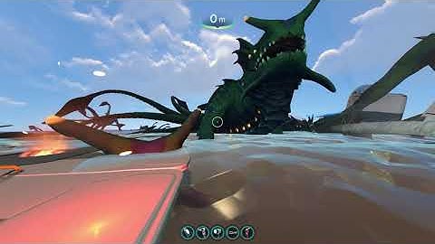 When You Use The Console Commands In Subnautica