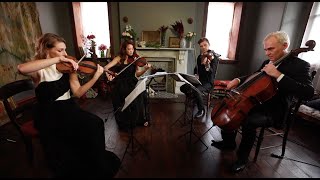 God Only Knows - The Beach Boys - Stringspace String Quartet