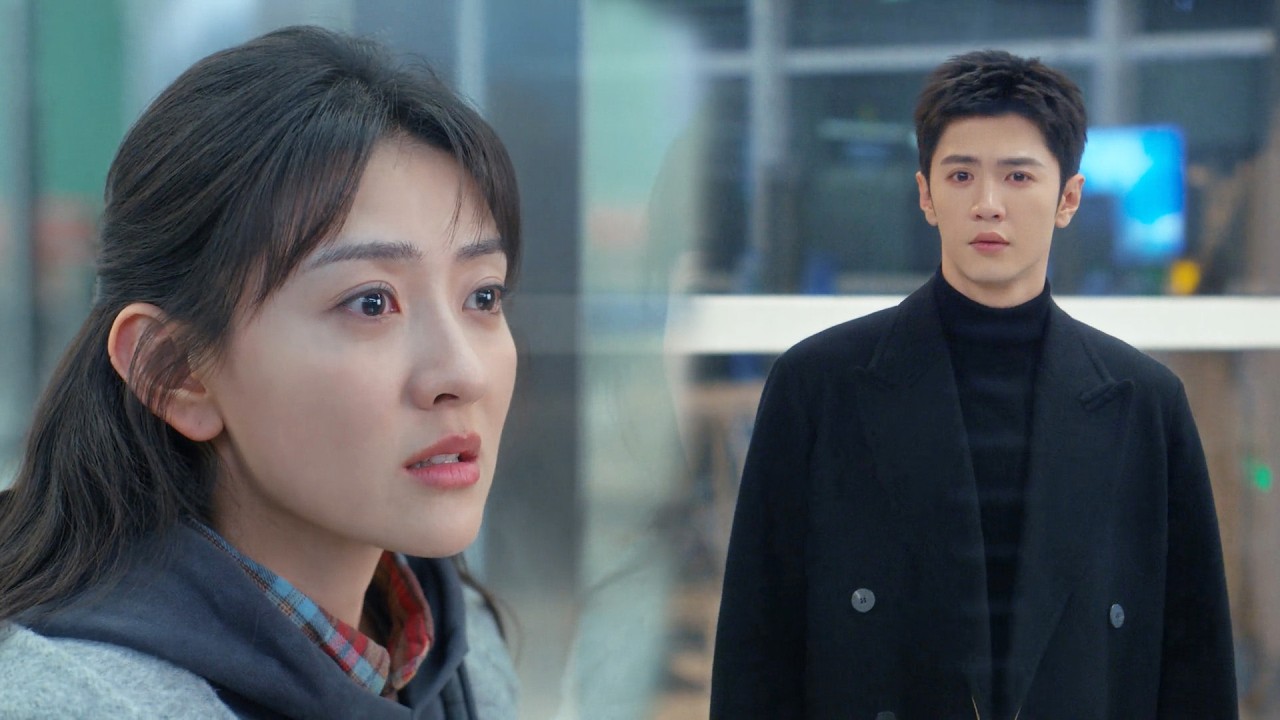 🕊【MOVIE】灰姑娘和帥小伙子再重逢，兩人哭紅了眼睛！ #白色橄榄树 #好看中国电视剧 #爱情