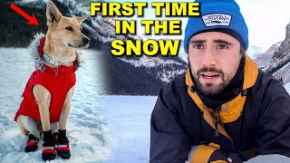 My Filipina Aspin's First Time In The Snow! (Becoming Canadian)