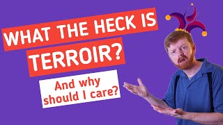 What does Terroir mean And why should I care