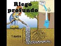 PLANTAR ÁRBOL CON SISTEMA DE RIEGO PROFUNDO- Deep Pipe Irrigation