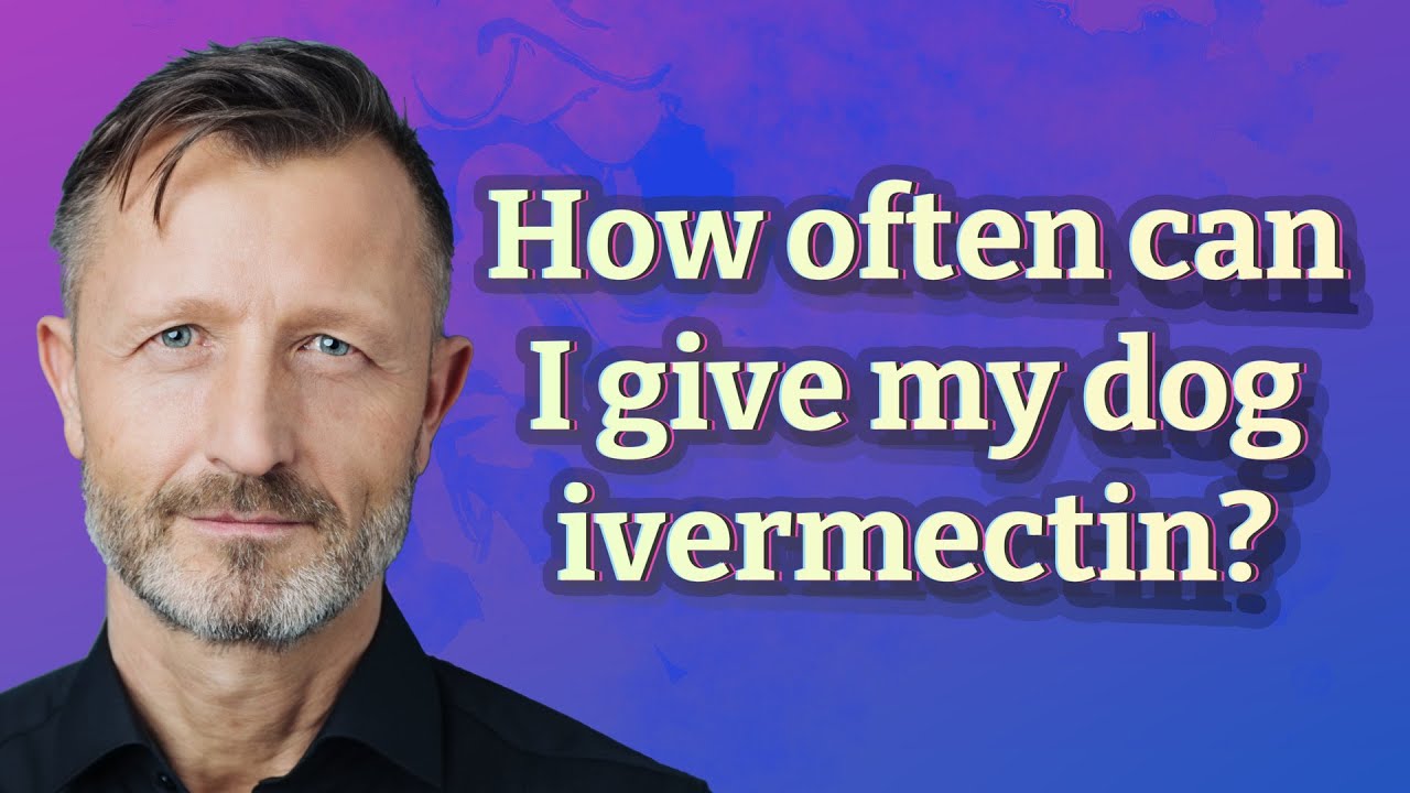 How Often Can I Give My Dog Ivermectin YouTube How Often Can I Give My Dog Ivermectin YouTube