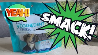 Veggiedents -  Fresh Tartar Control Chews for Medium Dogs. by Joes Prime Picks 2 views 8 days ago 1 minute, 14 seconds