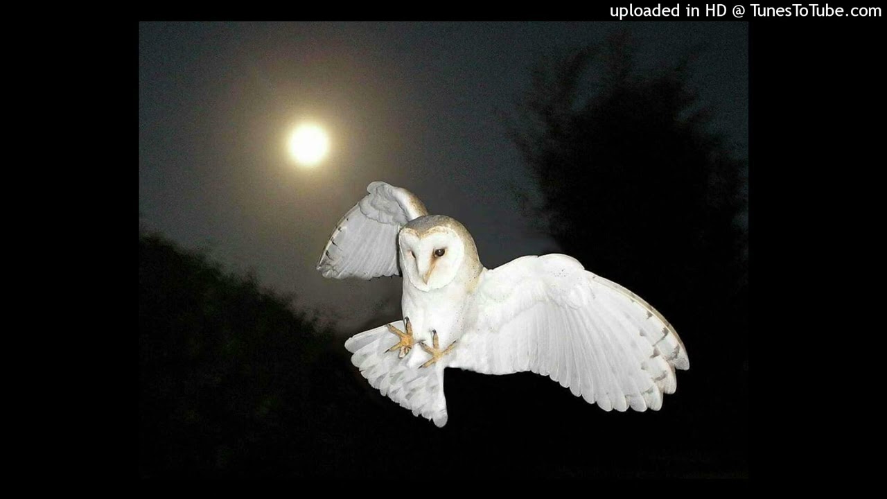 *free* izaya tiji o2a piano type beat 