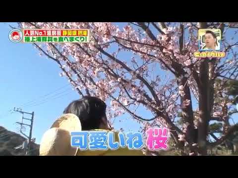 【バナナマン】桜より生田のほうが可愛いな