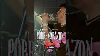 Pobre Corazon │ Show En Vivo │ #shorts #fyp #cuarteto #videooficial #coloso #arribalaspalmas