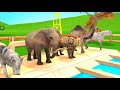 Los Animales Salvajes Y Sus Crías Se Transforman En Animales Acuaticos Parte 1 Sonidos De Animales 