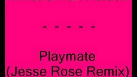 Armand Van Helden - Playmate (Jesse Rose Remix)
