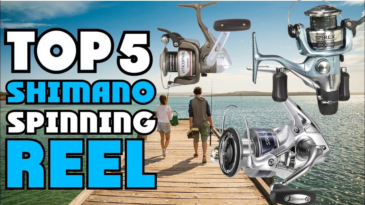 Best Shimano Spinning Reel of 2024