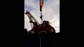 Great escape diving show