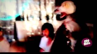 Monito Dj Baila Y Congelate