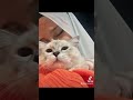 Ш Ш Щ Щ Ш Щ Щ Ш Щ ШіЩѓ Щ ЩЉЩ Щ Щ Ш Ш Щ Щ ЩЉ Ш Ш ШЇЩѓ Щ Щ Щ Ш Ш ЩЉЩ Ш Щ Ш ШЄ Щ Ш ШЄШі вќ пёЏвќ пёЏвќ пёЏвќ пёЏ Ш Ш Щ Щ Ш Щ Щ Ш Щ ШіЩѓ Щ ЩЉЩ Щ Щ Ш Ш Щ Щ ЩЉ Ш Ш ШЇЩѓ Щ Щ Щ Ш Ш ЩЉЩ Ш Щ Ш ШЄ Щ Ш ШЄШі вќ пёЏвќ пёЏвќ пёЏвќ пёЏ