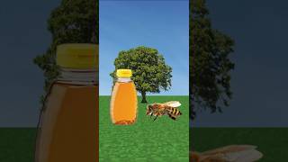 How Bees Make Honey (gross)