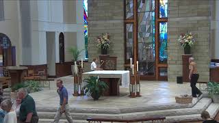 The Fifteenth Sunday in Ordinary Time
