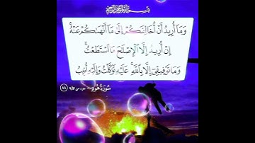 سورة هود الآية ( 88 )