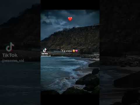يا زينه ما درتي فينا
