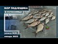 ПОПАЛ на ЖОР ПОДЛЕЩИКА. Зимняя рыбалка на МОРМЫШКУ. Заливы р. ПСЕЛ в черте города СУМЫ. ЯНВАРЬ 2022