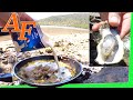 Catch and Cook Gourmet Oyster Stew recipe w Oyster Mushrooms super simple n delicious EP.396