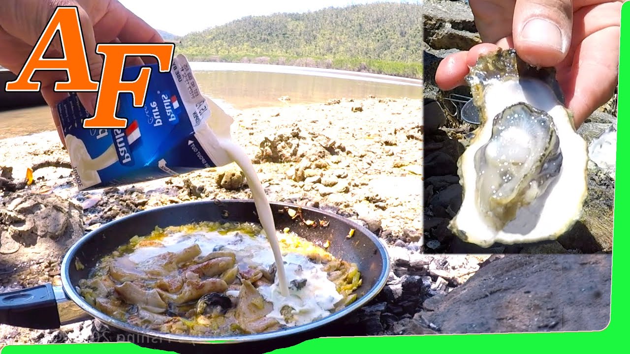 andy's fishing videos Catch and Cook Gourmet Oyster Stew recipe w Oyster Mushrooms super simple n delicious EP.396