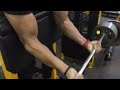 Biceps preacher curl