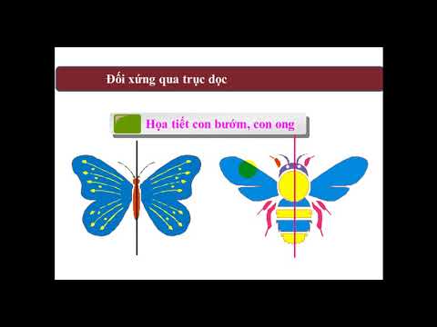 Bài dạy trực tuyến môn Mĩ thuật lớp 5 - Tuần 1 - chủ đề 1: Họa tiết trang trí - tiết 1: trang trí họa tiết đối xứng