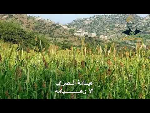 هيــامة الــصراب | ايوب طارش |