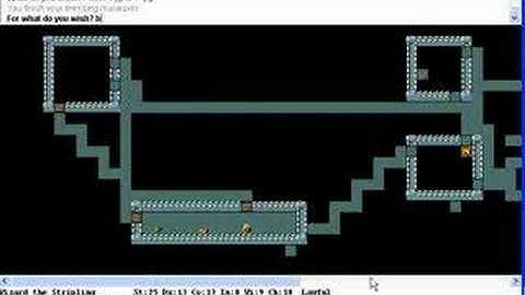 NetHack Wizard Run (take 2, setup)