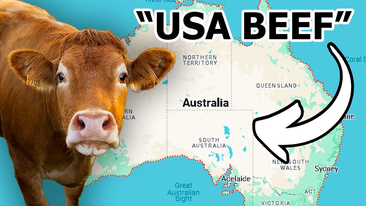 Where Does American Mcdonald S Beef Come From