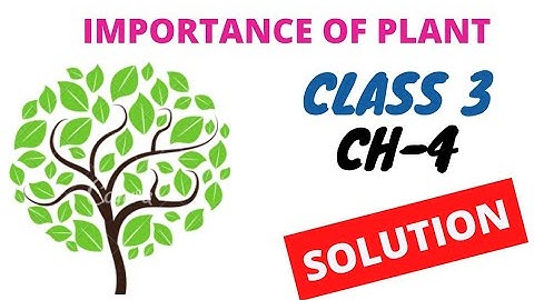 class -3 science Question and answer of chapter 4. Importanse of plant.