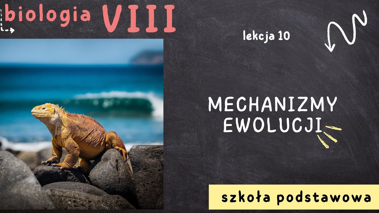 Biologia 8 [Lekcja 10 - Mechanizmy ewolucji]