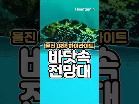 수심 <strong>7m</strong> 바닷속으로 내려갈 수 있는 무료 전망대