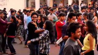 Spring fest 2014, Winner of lights -camera -springfest