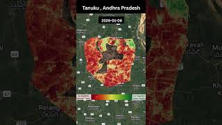 2026 Rabi Paddy Crop Growth From Space 🌾 | NDVI Satellite Time Lapse of Rice Fields