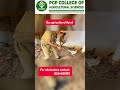 PGP college of Agriculture namakkal #low fees bsc agriculture college in tamil