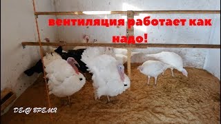 Вентиляция работает как надо.Индюки довольны)))