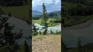 Сляние рек Джазатор и Акалаха образует новую реку Аргут #алтай #слияние #природа