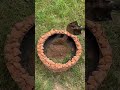Simple and Smart Way to Upcycle Old Tires into Luxury Planters! 🪴