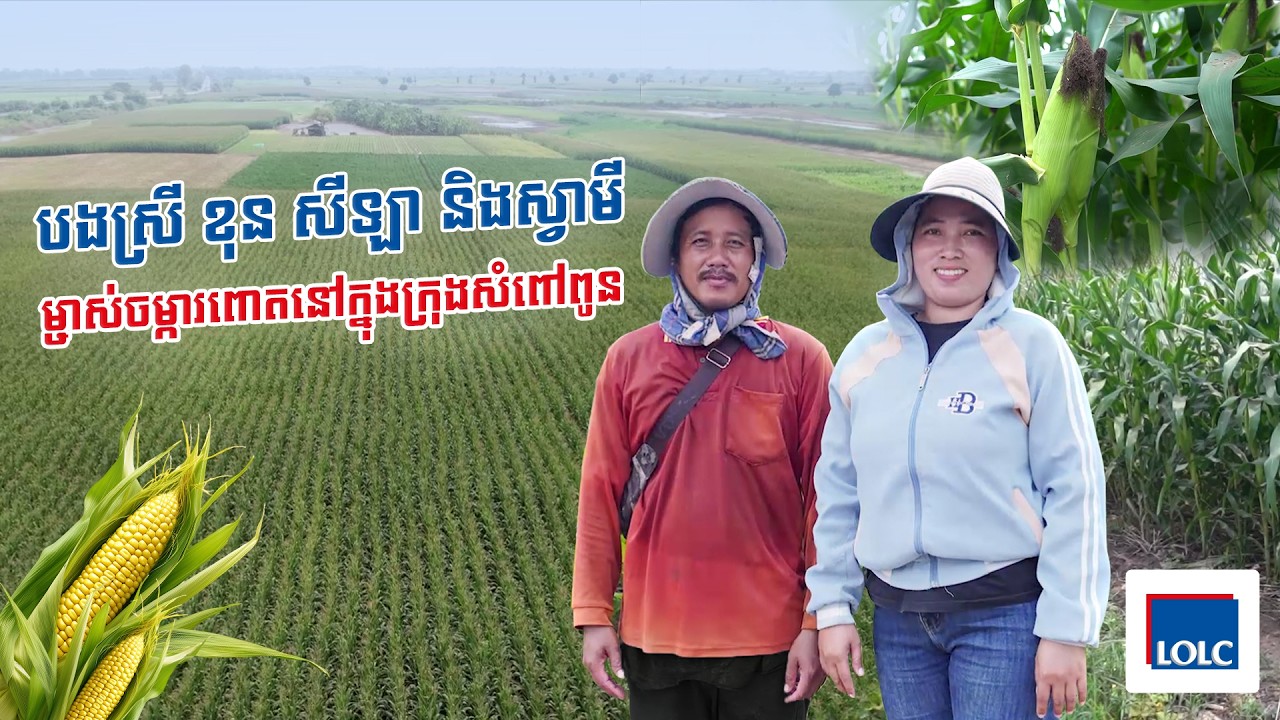 បទពិសោធន៍របស់បងស្រី ខុន សីឡា និងស្វាមី ក្នុងការប្រើប្រាស់កម្ចី អិលអូអិលស៊ី សម្រាប់មុខរបរចម្ការពោត