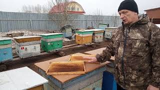 Видео VID Результаты осмотра семей после зимовки (автор: КАРНИКА на Среднем Урале пасека Сергея Власова)