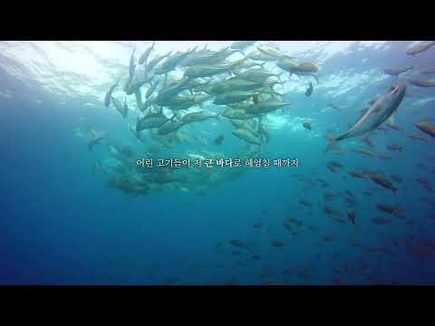 [FTV <strong>환경보호</strong> <strong>캠페인</strong>]#4  &amp;quot;빨주노초파남보&amp;quot;