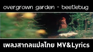 overgrown garden - beetlebug เพลงสากลเเปลไทย